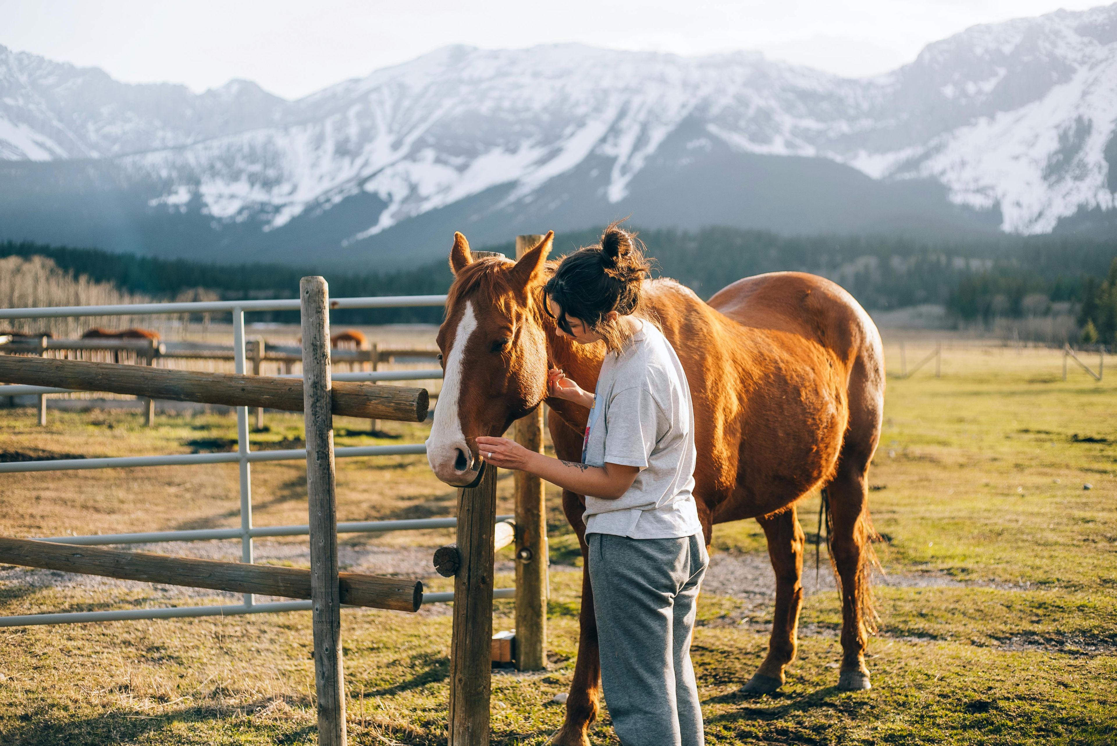 Woman petting horse